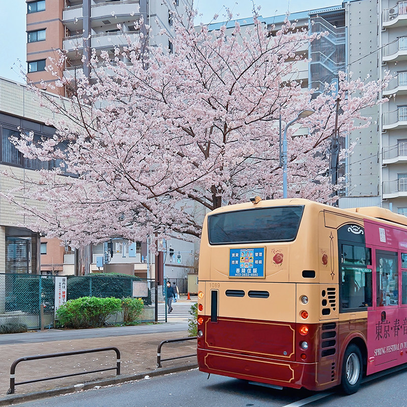 包车自由行4人起均价-日本旅游大阪+北海道6天5晚 心斋桥洞爷湖