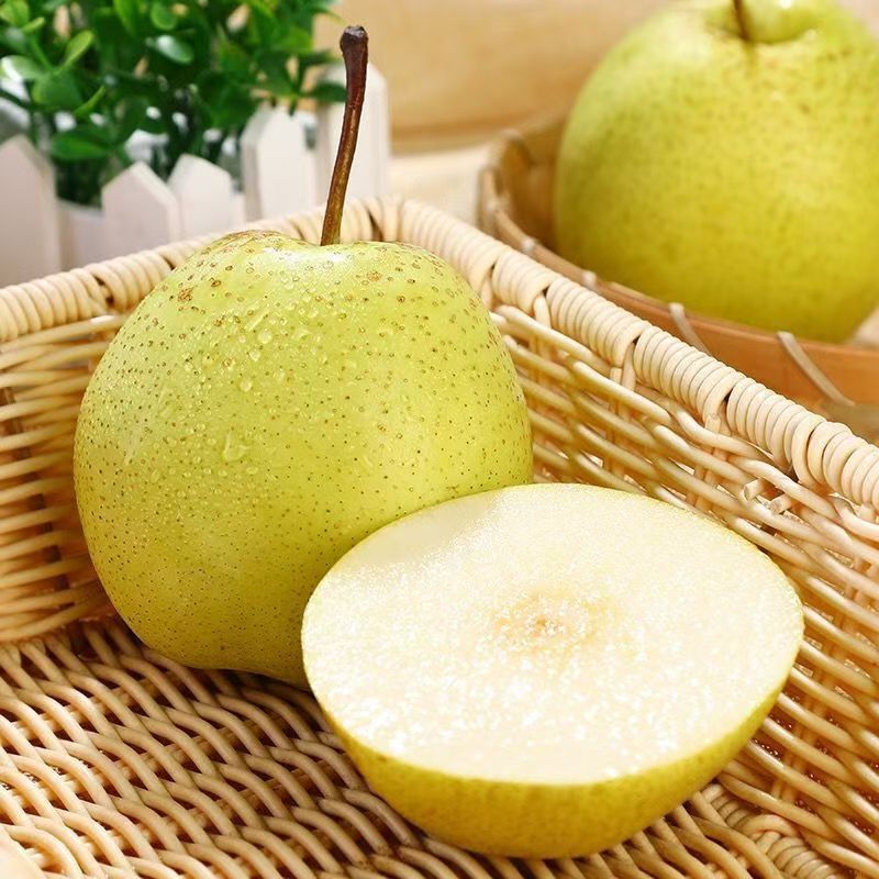 新鲜雪梨水果正宗河北雪花梨赵州雪梨应季水果赵县冰糖雪梨