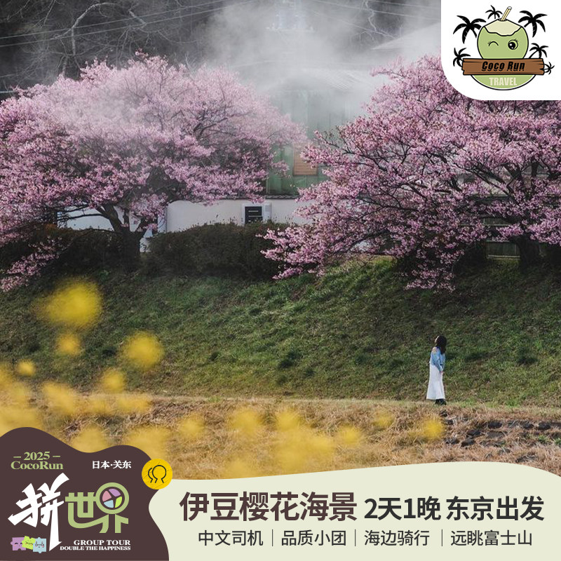 【8人小团】日本东京伊豆热海2天1晚·海景温泉酒店/伊东河津赏樱