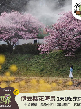 【8人小团】日本东京伊豆热海2天1晚·海景温泉酒店/伊东河津赏樱