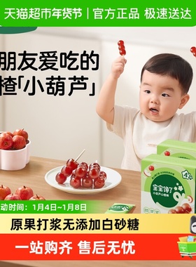宝宝馋了小葫芦山楂棒棒糖无添加白砂糖儿童零食
