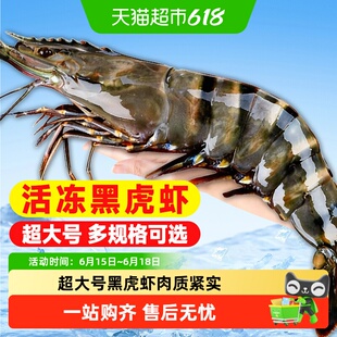 顺丰上门黑虎虾鲜活速冻超大老虎虾特大对虾基围虾海虾冷冻九节虾
