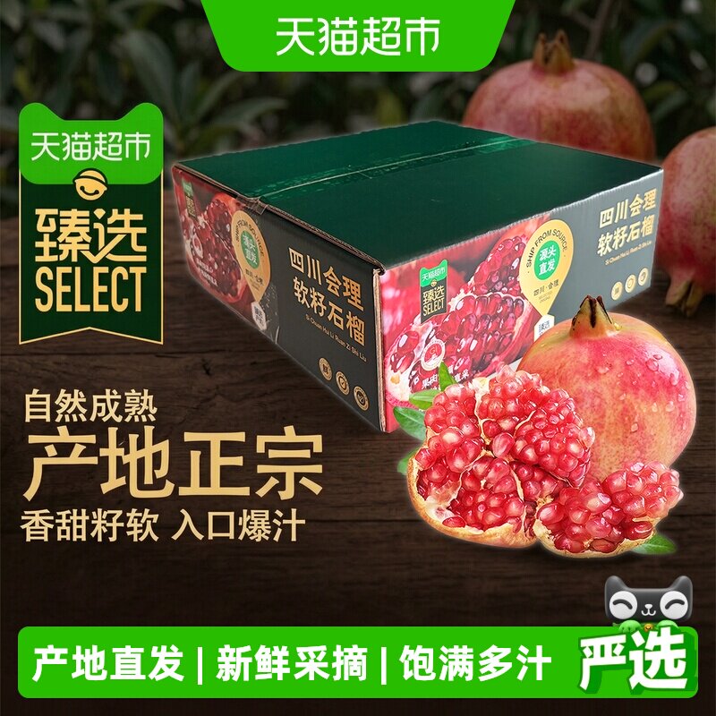 会理突尼斯软籽石榴鲜甜多汁图片