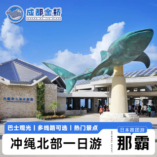 日本冲绳观鲸北部中部一日游美丽海水族馆万座毛古宇利岛琉球村
