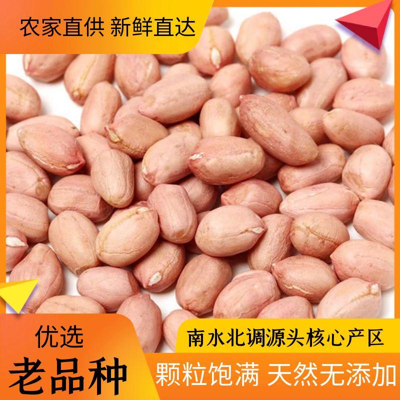 南阳白沙花生米生花生米不带壳榨油白沙花生仁商用家用批发