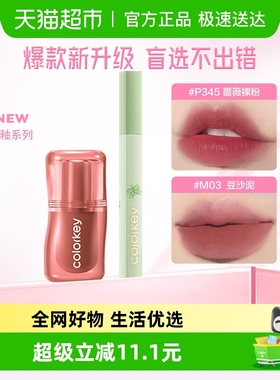 Colorkey/珂拉琪水雾哑光唇露釉唇彩唇蜜口红女雾面不易沾杯学生