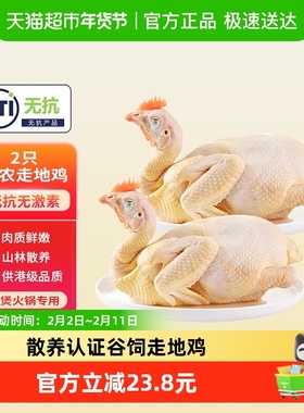 天农清远供港走地鸡100天农家谷物土鸡800g2只散养童子鸡肉整鸡