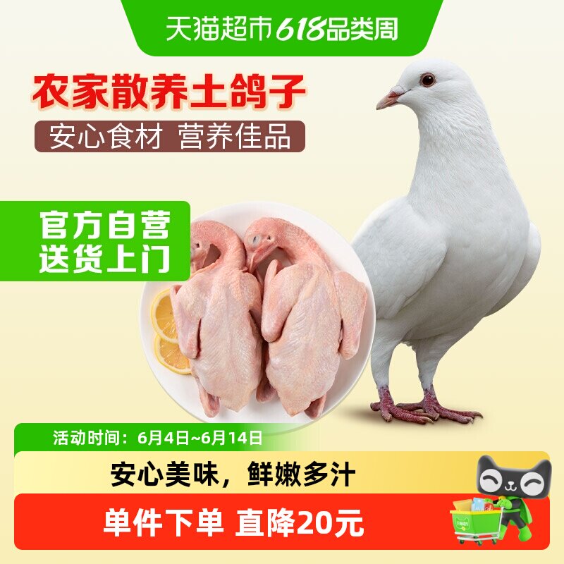 温氏乳鸽烤鸽子肉/农家散养土鸽子无农残煲汤滋补