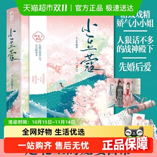 小豆蔻小说不止颗菜宋威龙包上恩主演 原著实体书 韶华若锦