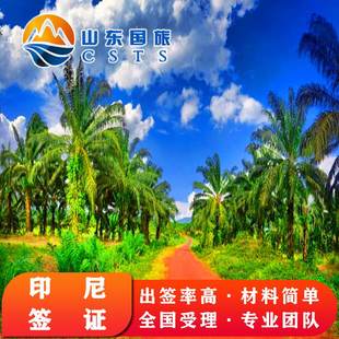 柬埔寨旅游贴纸签证电子个人旅游简化加急一年两年三年多次全国受理