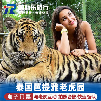 泰国旅游芭提雅老虎园与老虎拍照新生幼虎芭堤雅老虎园近距离接触