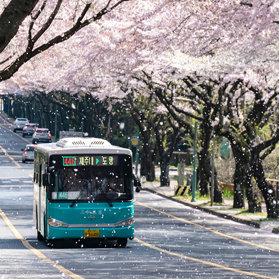 釜山+东京自由行8天7晚机票+酒店 韩国日本旅游银座浅草寺晴空塔