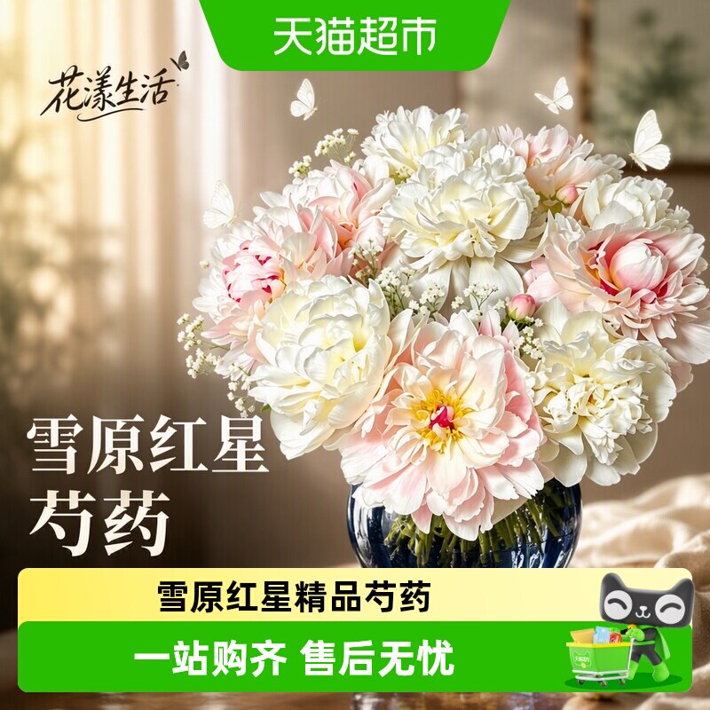 德沃多重瓣芍药鲜花新鲜直采图片