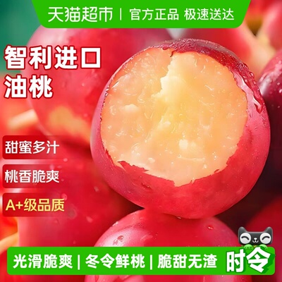 京运达智利进口油桃