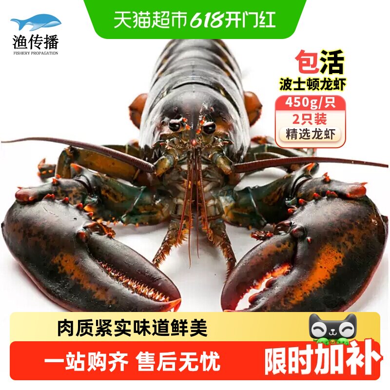 顺丰上门渔传播【鲜活现货】鲜活波士顿龙虾450g*2只海鲜水产送礼