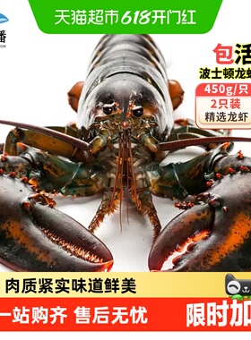 顺丰上门渔传播【鲜活现货】鲜活波士顿龙虾450g*2只海鲜水产送礼