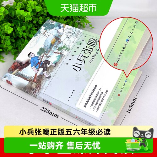 人民文学出版社小兵张嘎课外书