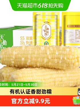 天勤粒粒净新季有机铝箔甜糯玉米新鲜玉米真空包装早餐代餐10支