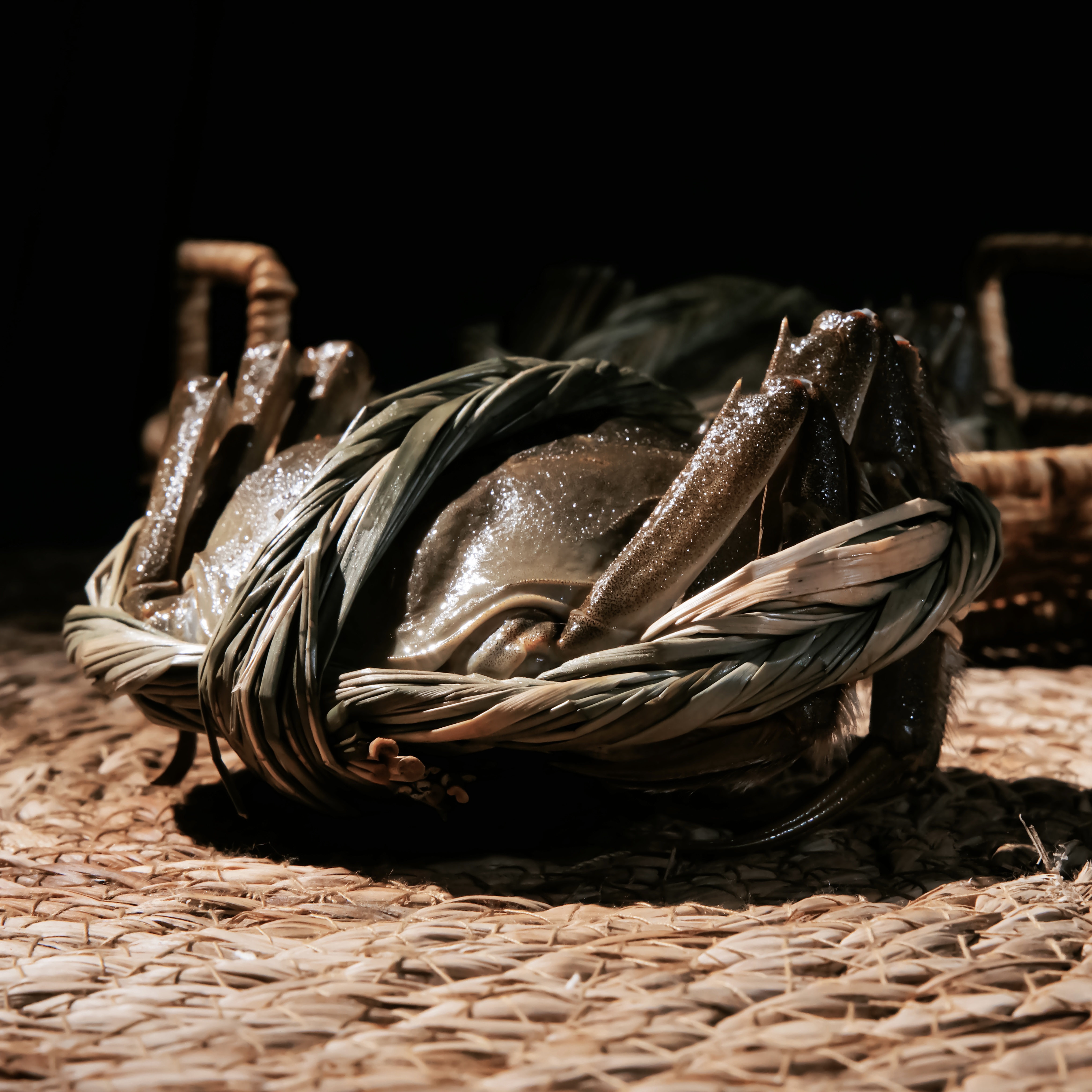 精选大闸蟹 只只鲜活