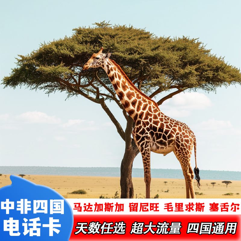 马达加斯加电话卡