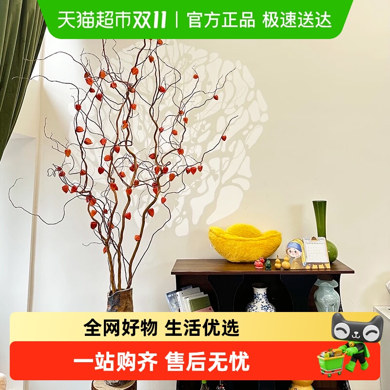 爱黛金灯树植物