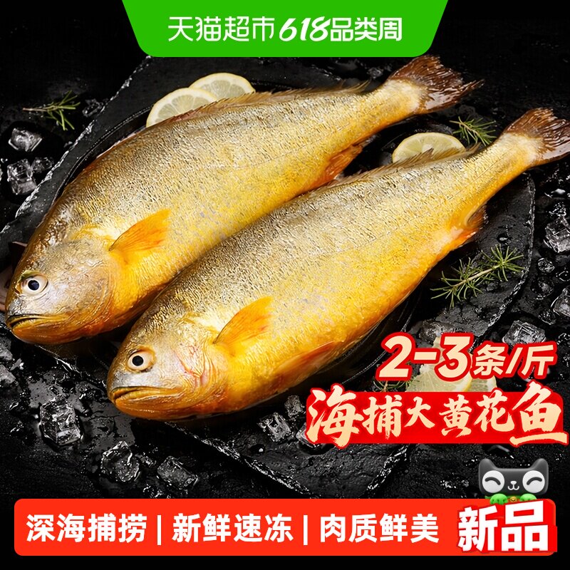 大黄花鱼新鲜冷冻野生深海大黄鱼整条特大海鱼生鲜水产鲜活