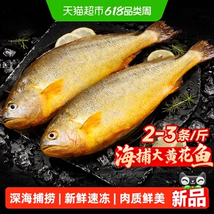 大黄花鱼新鲜冷冻野生深海大黄鱼整条特大海鱼生鲜水产鲜活