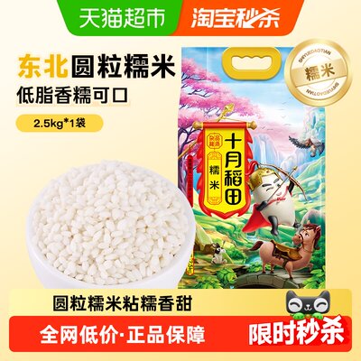 十月稻田东北糯米香甜软糯