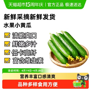 众利合脆嫩无刺水果小黄瓜新鲜采摘口感清爽水分充足多种吃法生吃