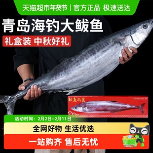 云储生活鲅鱼新鲜冷冻山东特大马鲛鱼整条青岛鲅鱼片鲅鱼段海鱼