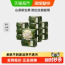 babycare山茶柔巾婴幼儿宝宝面膜绵柔巾干湿两用洗脸巾加厚超柔