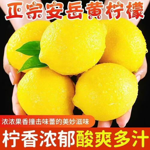 新果安岳黄柠檬一二级四川新鲜水果皮薄整箱商用奶茶店专用水果