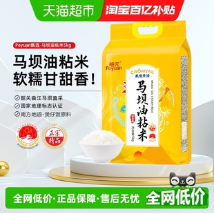 舶元 马坝油粘米5kg广东特产丝苗米软糯弹牙煲仔饭用籼米地标认证
