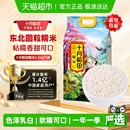 十月稻田糯米2.5kg粽子米江米圆糯五谷杂粮东北糍粑 次日达