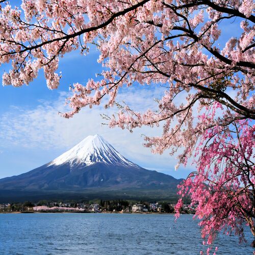 【提前订送送送】旅游意外险+上网卡+天天出发+出行攻略+大巴接送机 【行程自由】行程顺序可调酒店可升级，小团不走马观花，游玩更轻松 【住好玩好】中央区舒适酒店近地铁、富士山河口湖缆车、迪士尼乐园 【一价全含】放心出行！无购物、无附加费、无导游费、无隐藏消费