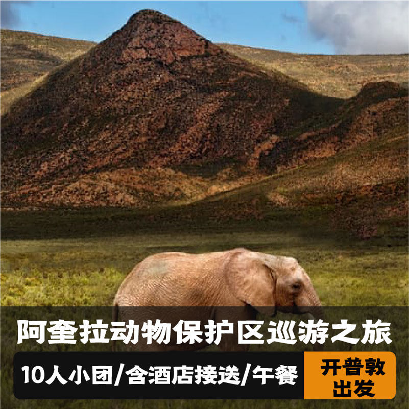 南非开普敦 阿奎拉动物保护区巡游之旅 含酒店接送+午餐+11人团