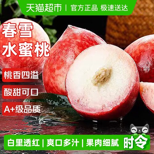 京运达春雪水蜜桃