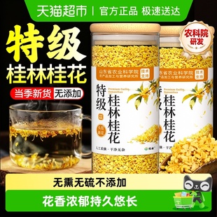特级桂林桂花正宗金桂干花新鲜食用无硫熏中药材泡水喝泡酒茶烘焙