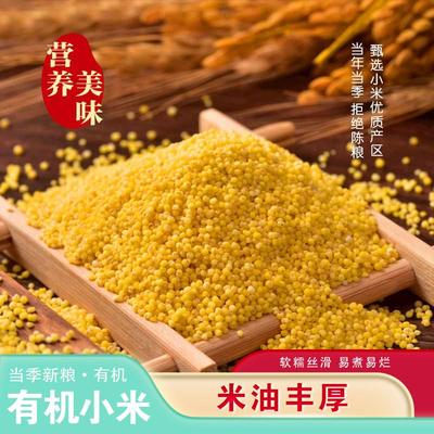 每食安有机黄金糯小米