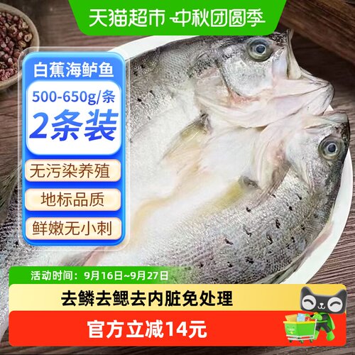 钓鱼记开背海鲈鱼嫩滑500g*2条