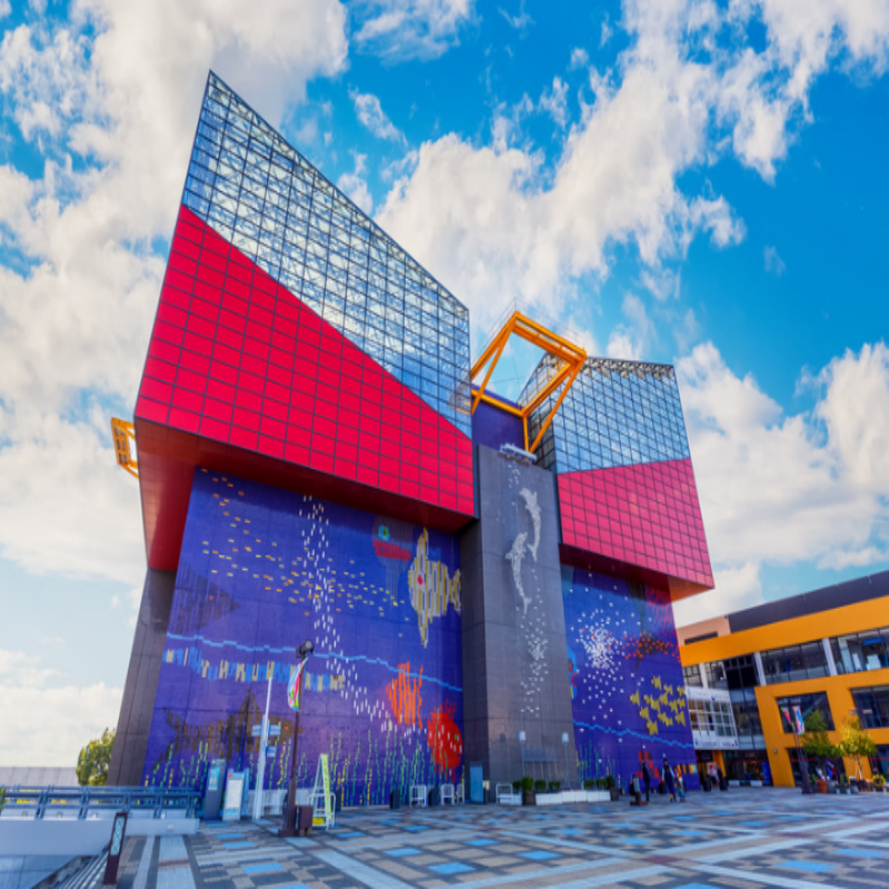 [大阪海游馆-大门票]官  特殊日期需要补差价