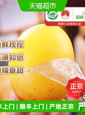 农鲜淘恩施黄心小土豆粉糯香甜
