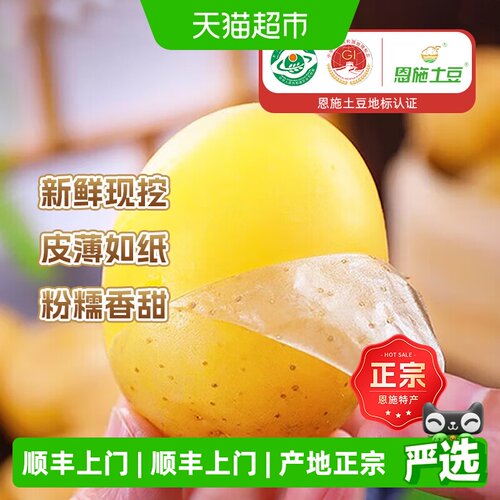 农鲜淘恩施黄心小土豆粉糯香甜
