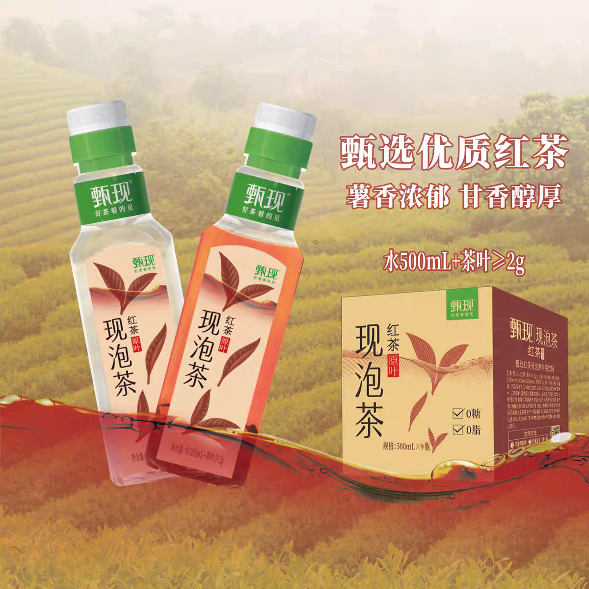 甄现冷泡茶500ml9瓶红茶毛尖茉莉花0糖0添加原叶绿茶夏季饮料整箱