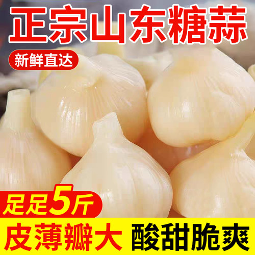 糖蒜正宗糖醋蒜5斤糖蒜头泡蒜甜蒜腌制糖醋大蒜糖蒜头下饭菜泡菜