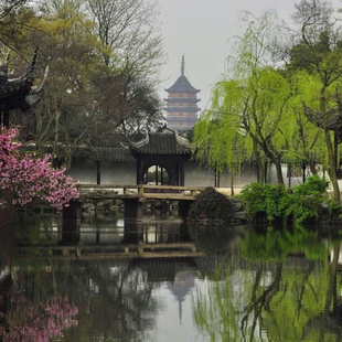 常州/南京出发 苏州园林一日游 拙政园 狮子林 寒山寺 虎丘 山塘