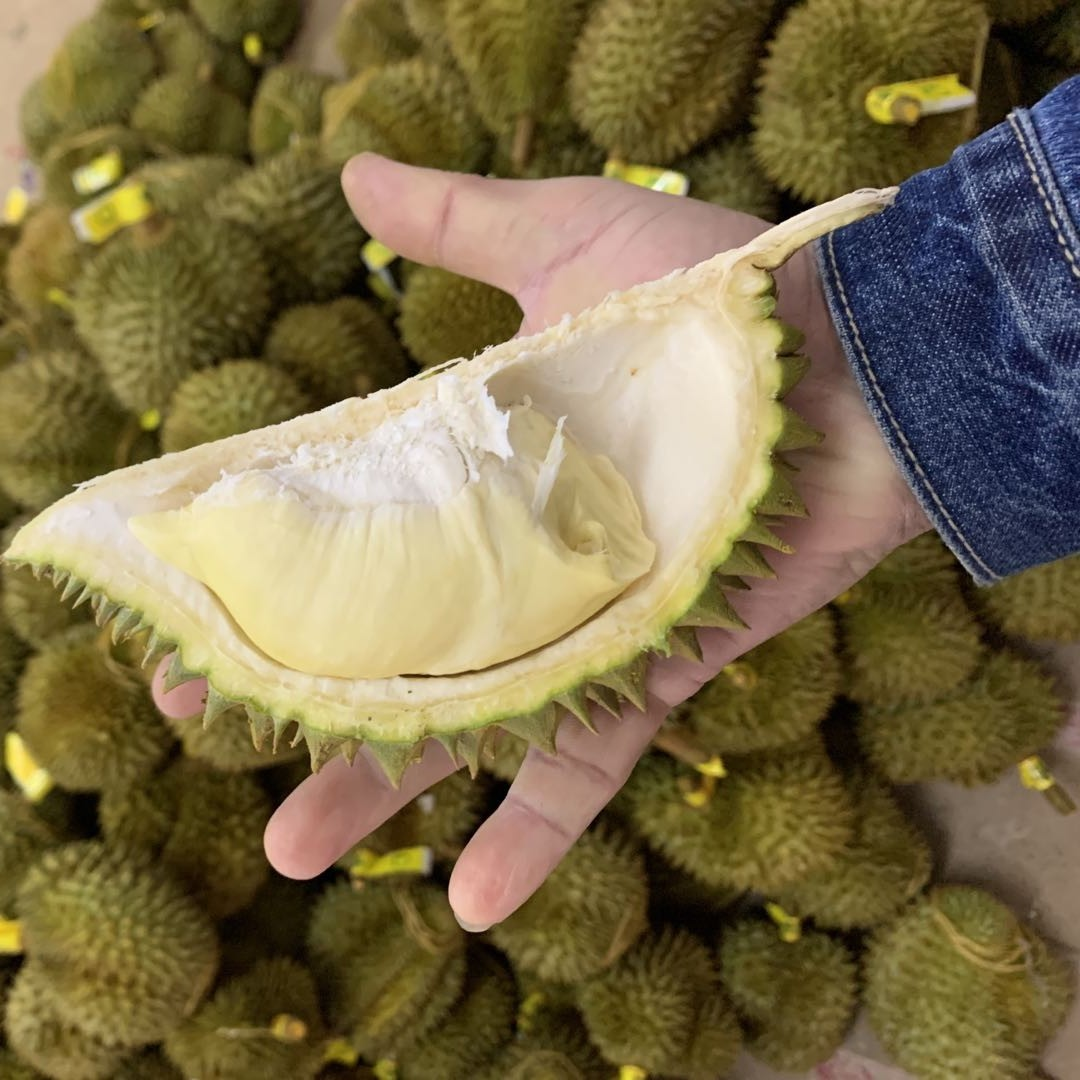 辉辉榴莲直发泰国老树小巴掌2个总5-6斤核小果丑肉多干苞香甜软糯
