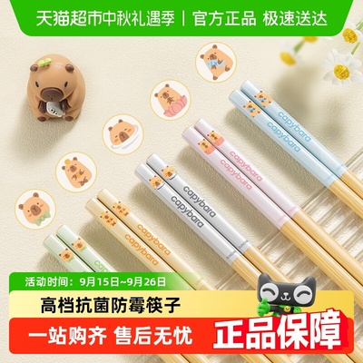 双枪竹木抗菌防霉筷子