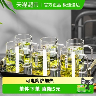 青苹果耐热玻璃水杯围炉煮茶杯270ml 6只带把杯子办公家用