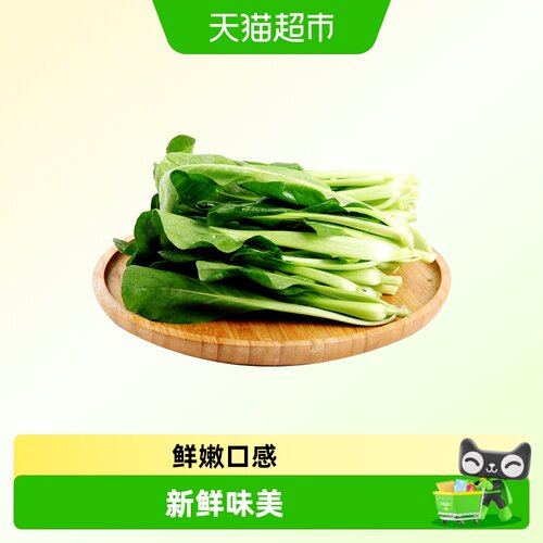 铭清味道有机油菜200g